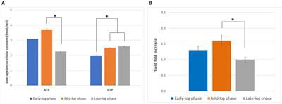 Design, Development and Optimization of a Functional Mammalian Cell-Free Protein Synthesis Platform